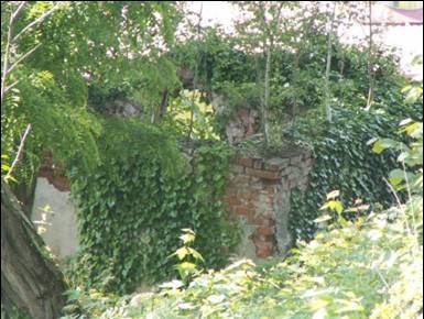 image347.jpg image347.jpg